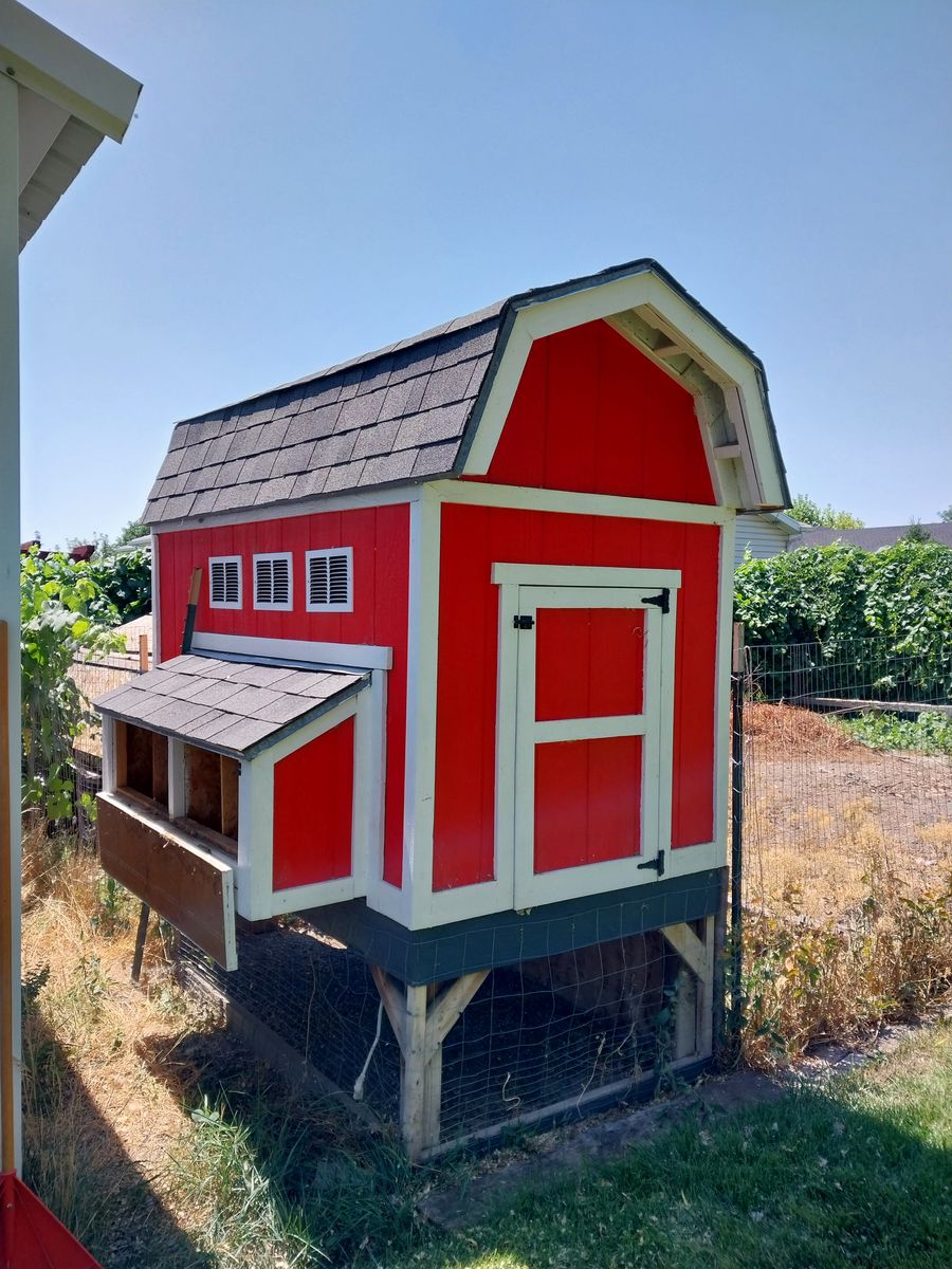Very Fancy Chicken Coop