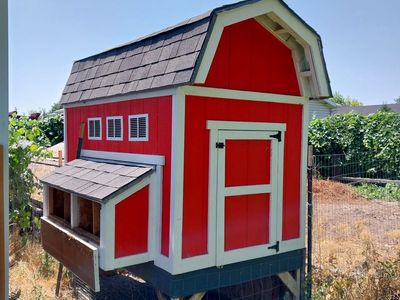 Very Fancy Chicken Coop