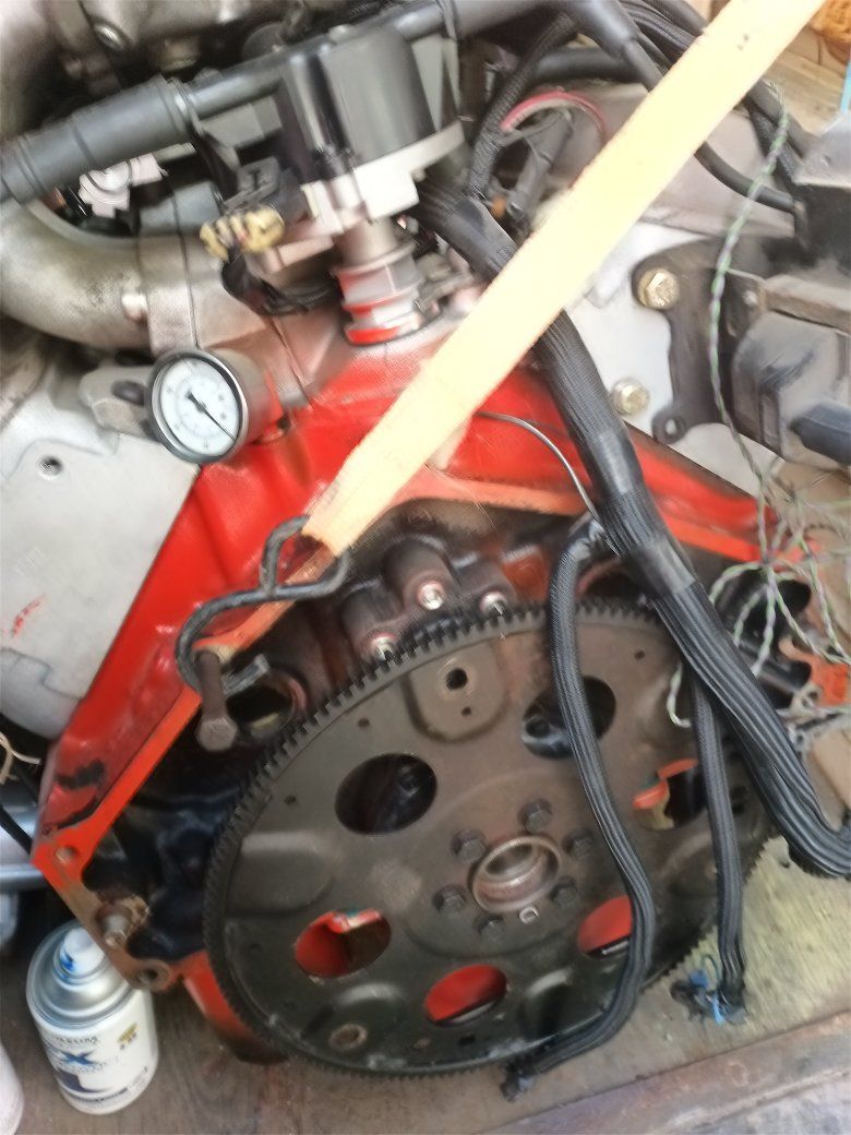 Main image 6