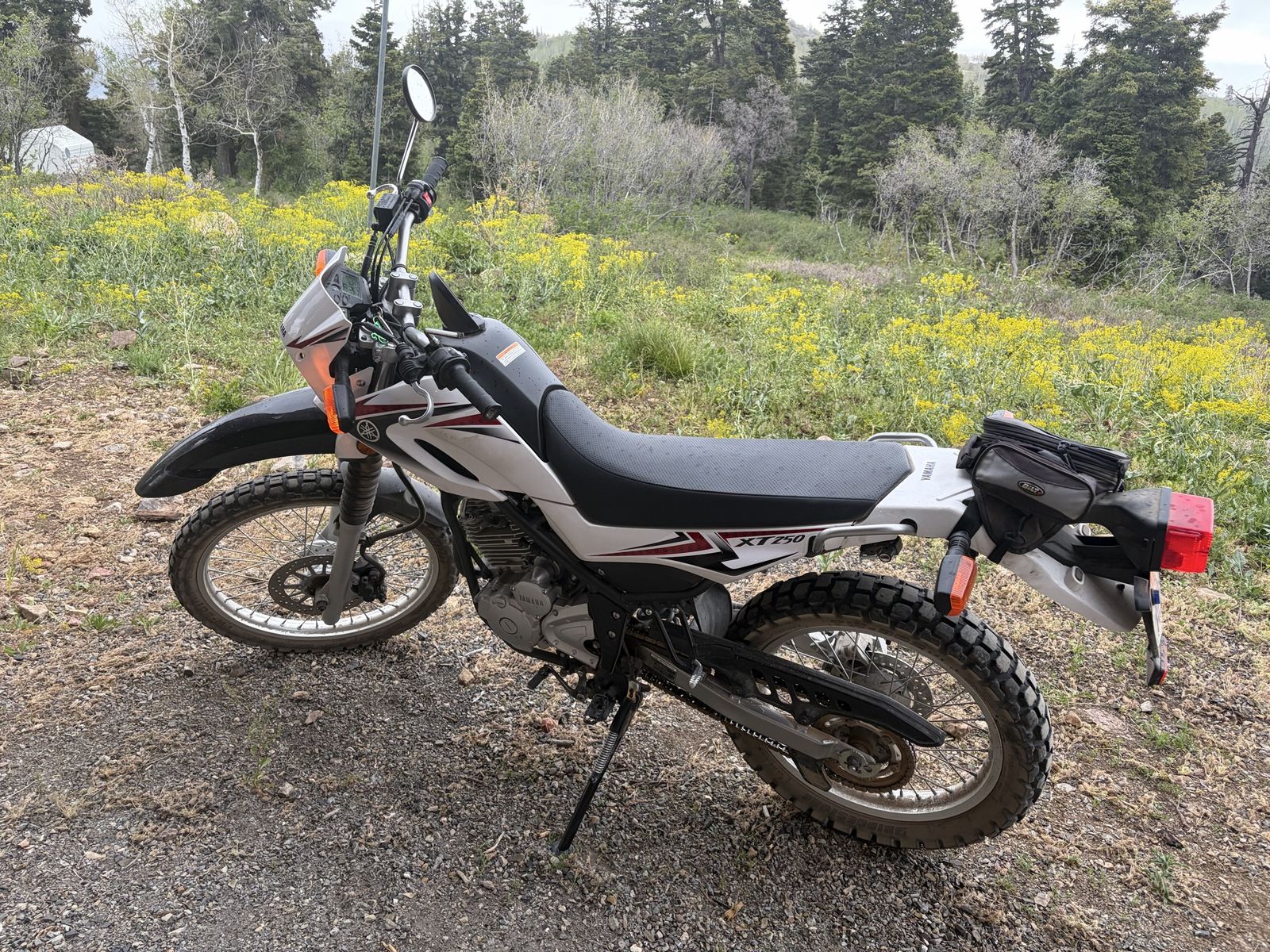 Yamaha X250 2010 Low Miles