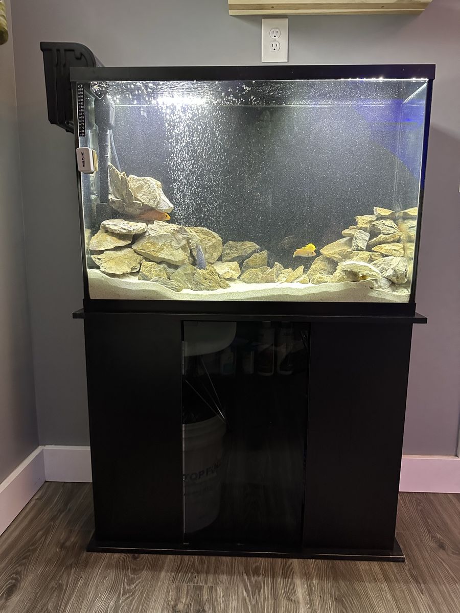 45 Gallon Aquarium Setup – Complete, Clean, Ready