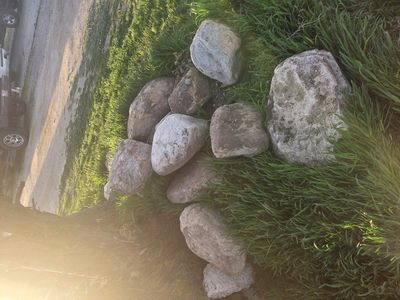 2-3ft landscape rocks boulders