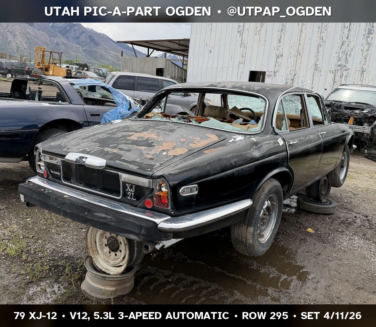 Main image 7