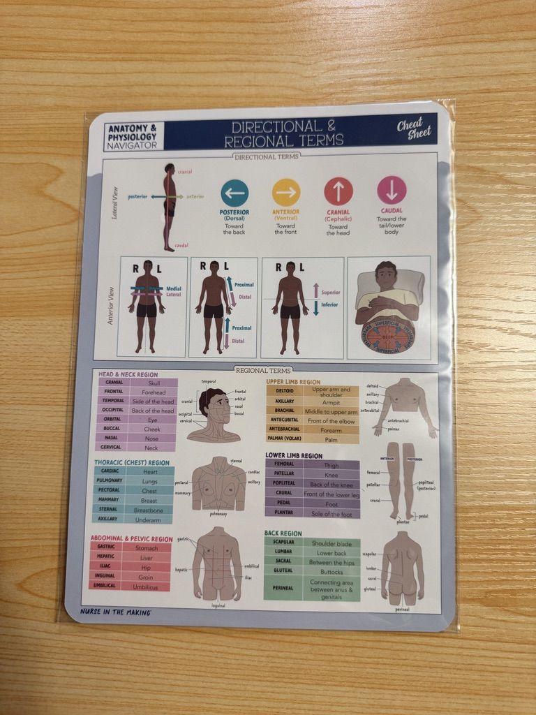 Nurse in the Making Anatomy & Physiology Navigator Cheat Sheets