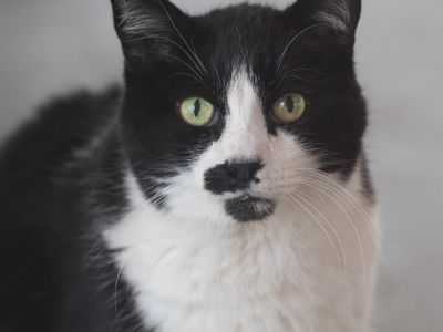 Hello my name is Carlson