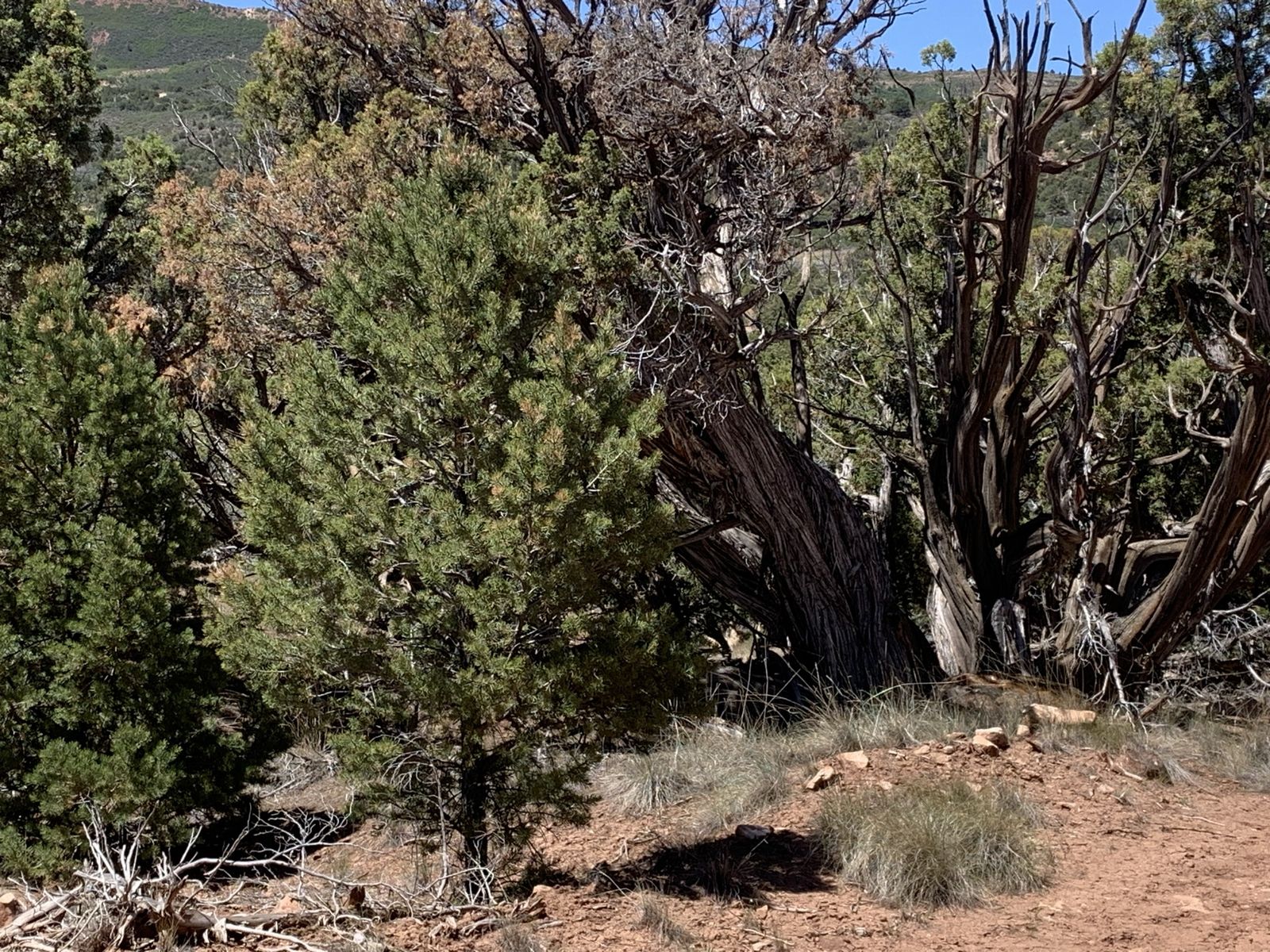 Recreational property for sale Fruitland UT