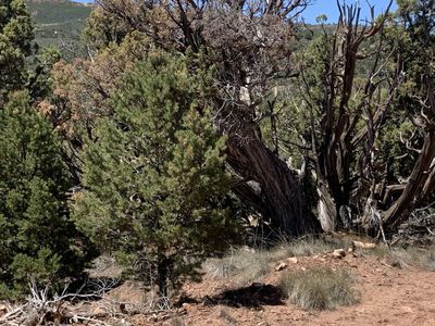 Recreational property for sale Fruitland UT
