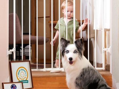 26-43" W 28" H Safety Gate, One-Handed Operation, Auto-Close, Hardware Mount (White)