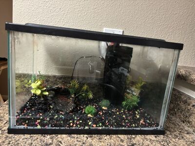 5 Gallon Tank