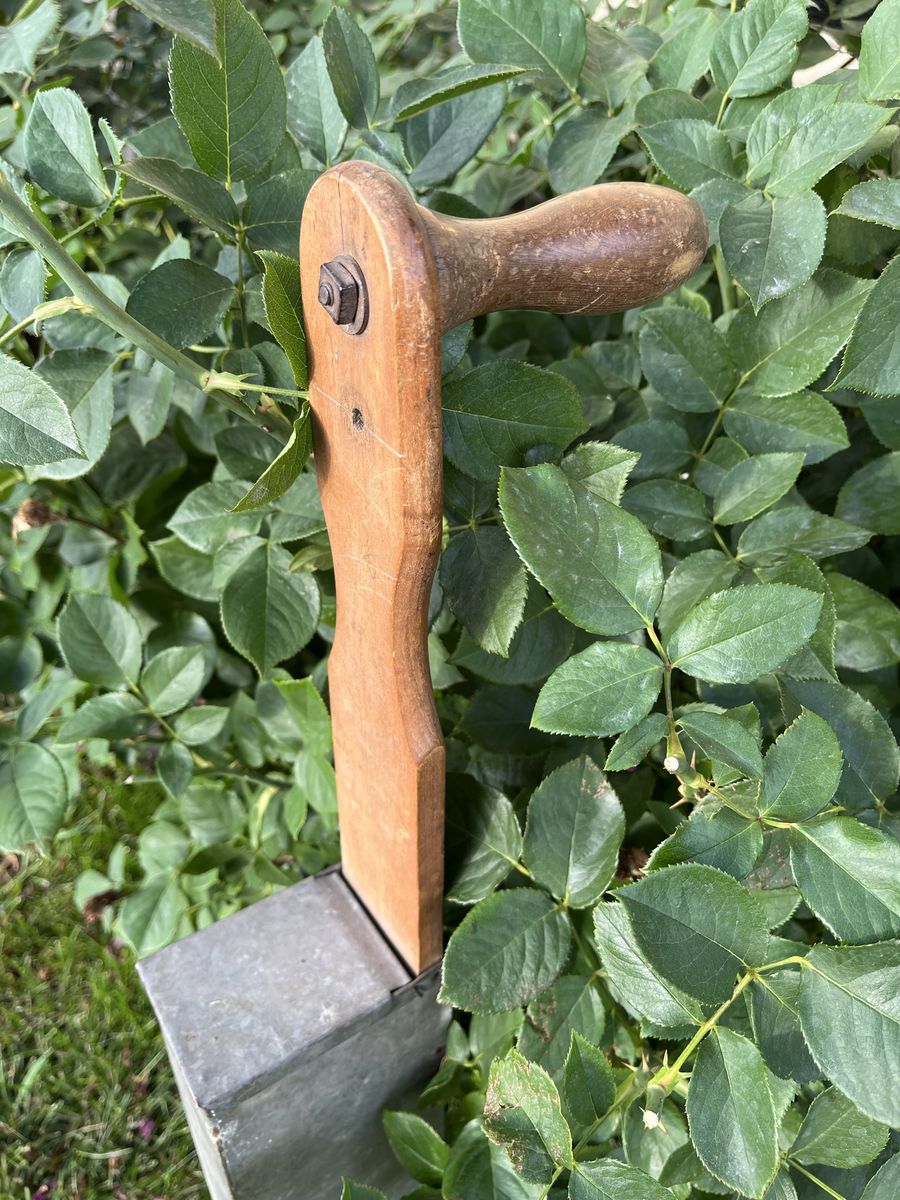 Main image 2