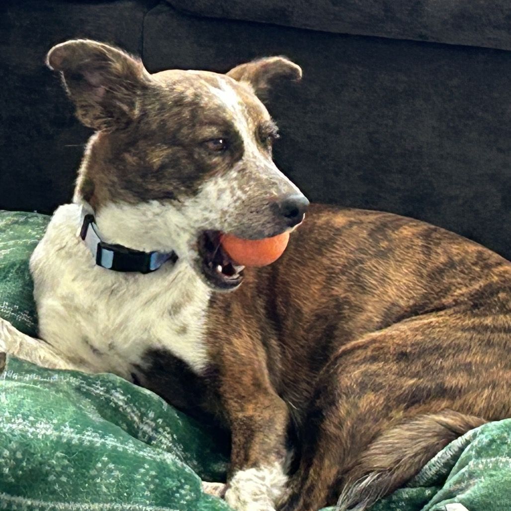 Hello my name is Cali