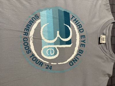 Third Eye Blind Summer Gods Tour '24 Comfort Colors Gray T-Shirt 2XL Unisex