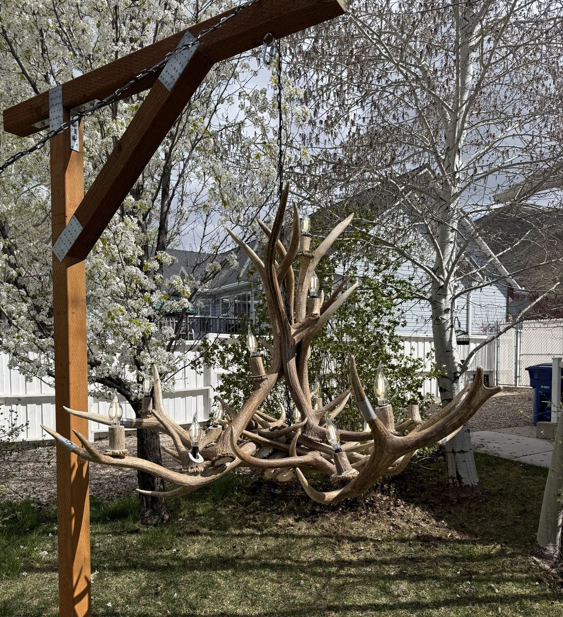 Authentic Elk Chandelier