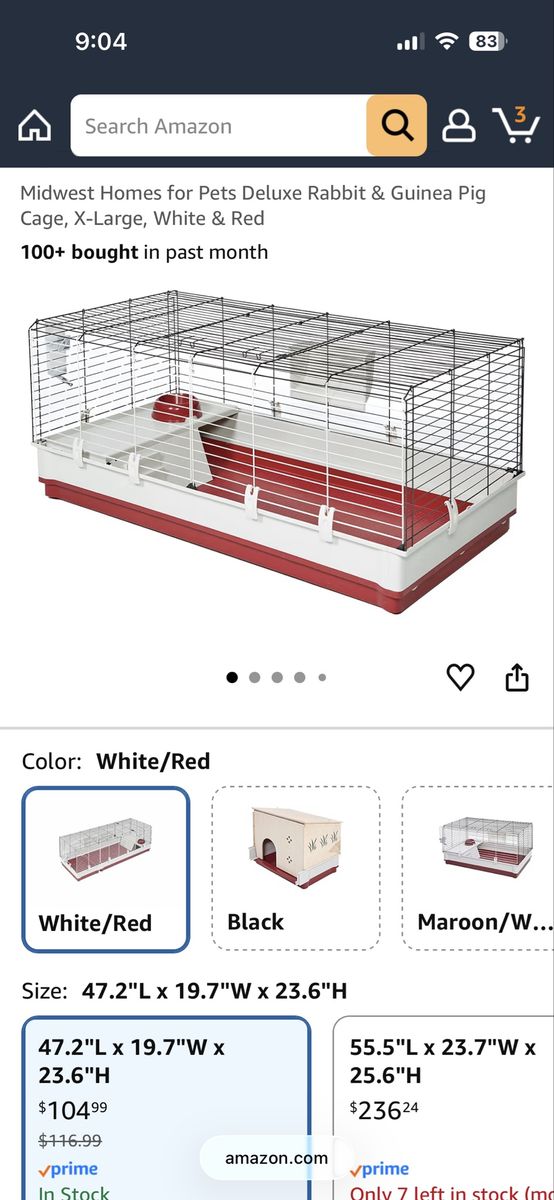 Guinea Pig Cage and 2 Male baby Guinea Pigs