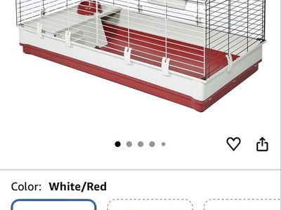 Guinea Pig Cage and 2 Male baby Guinea Pigs