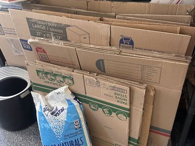 Moving boxes $1 each