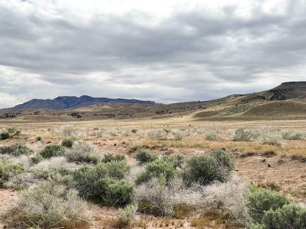 Main image 6