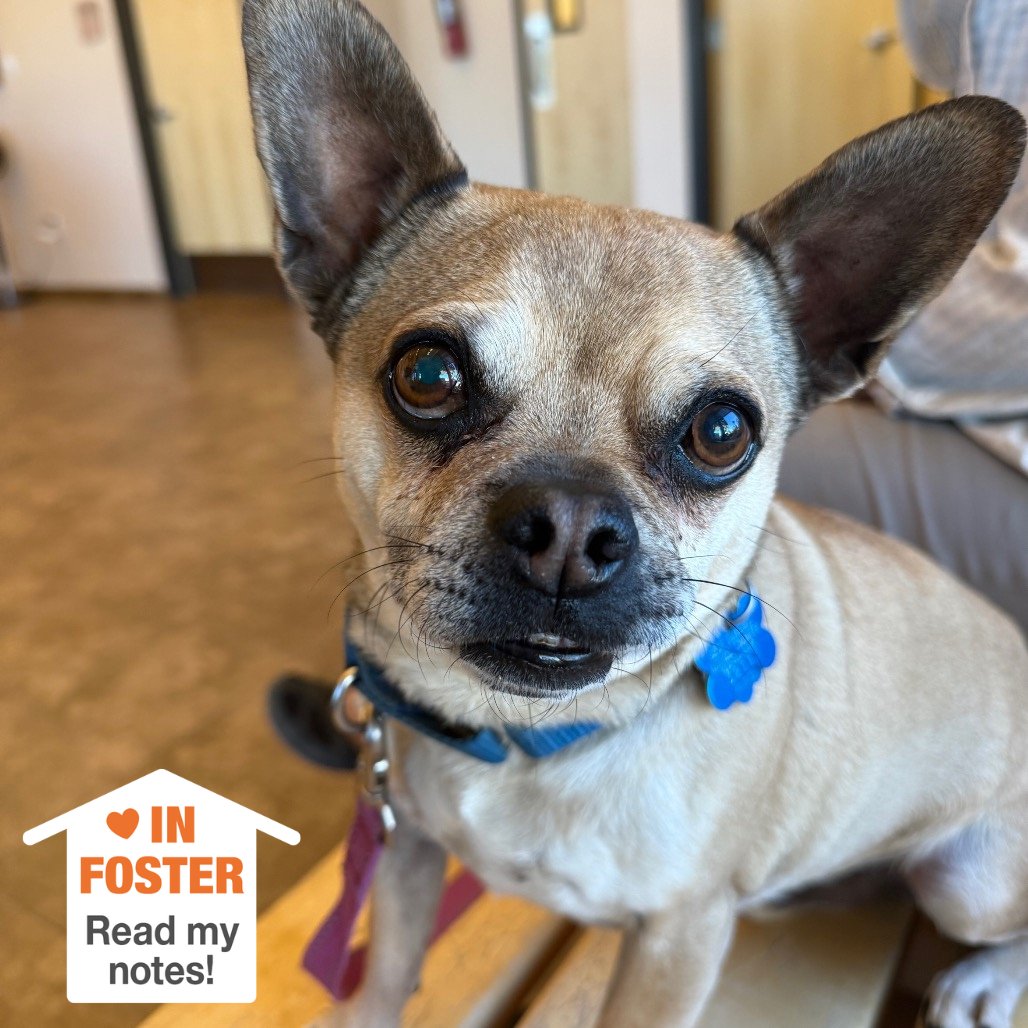 Hello my name is Coco