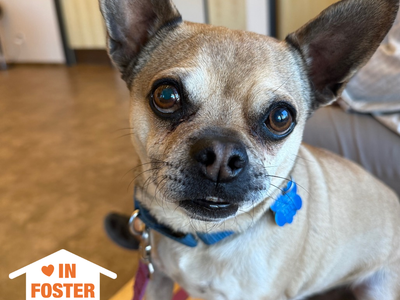 Hello my name is Coco