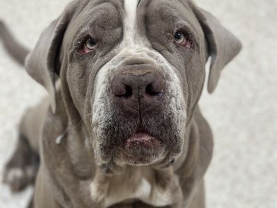 Hello my name is Doc Jiggles