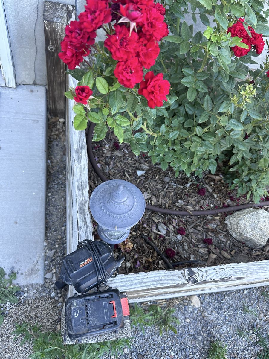 Free Worx batteries and charger.