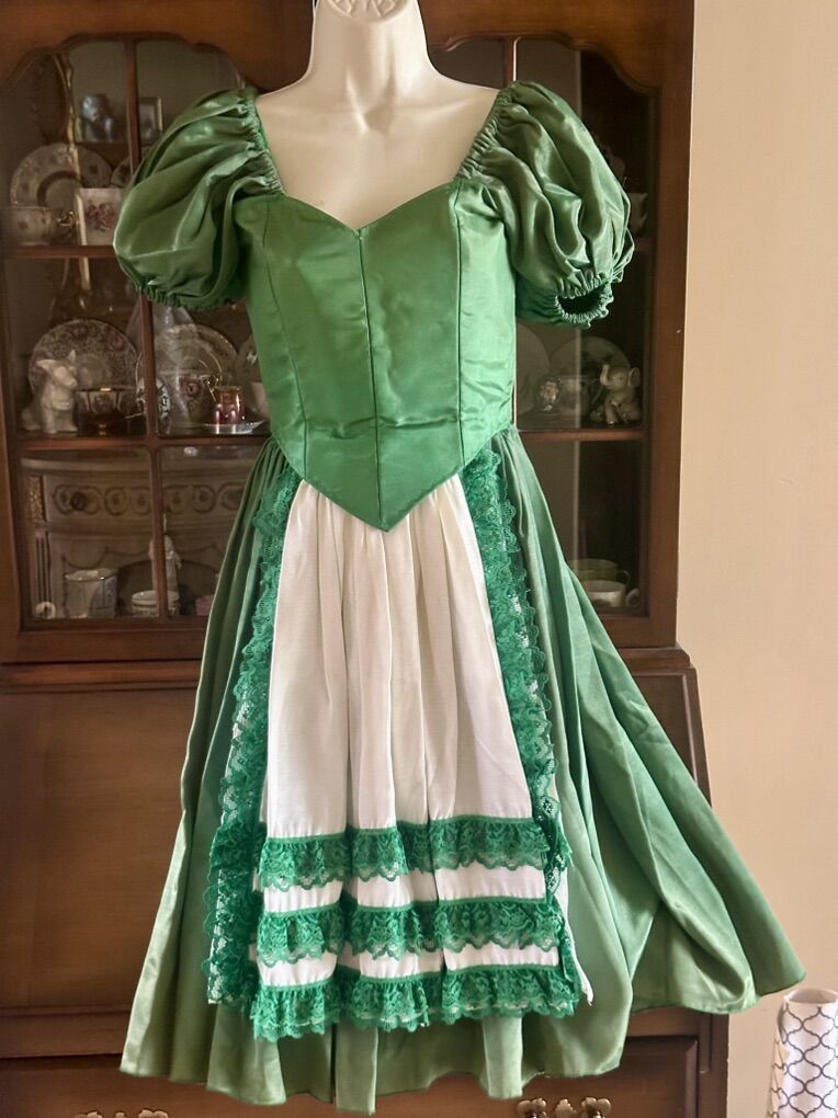 Beautiful Well Made Dress Costume