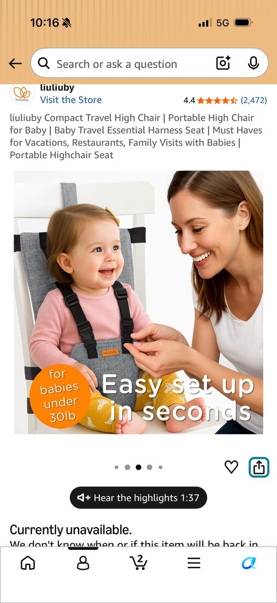 Travel High Chair