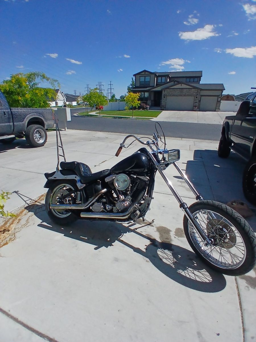 1989 Harley Softail