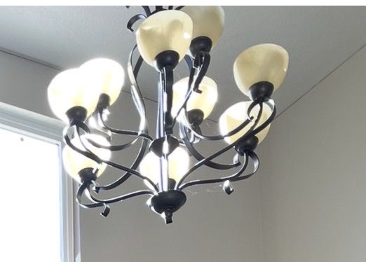 Free 9 Light Chandelier