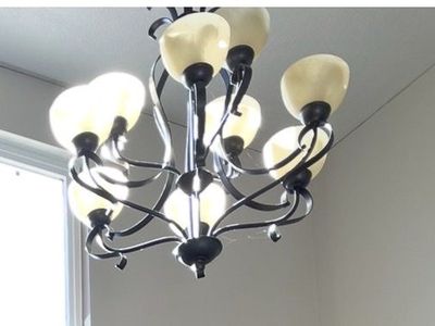 Free 9 Light Chandelier