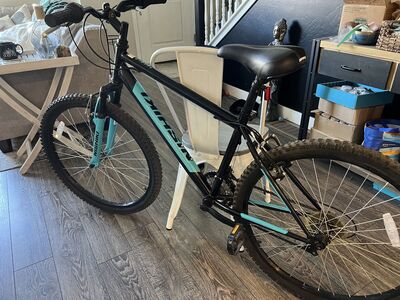 Nishiki Mountain Bike 24”