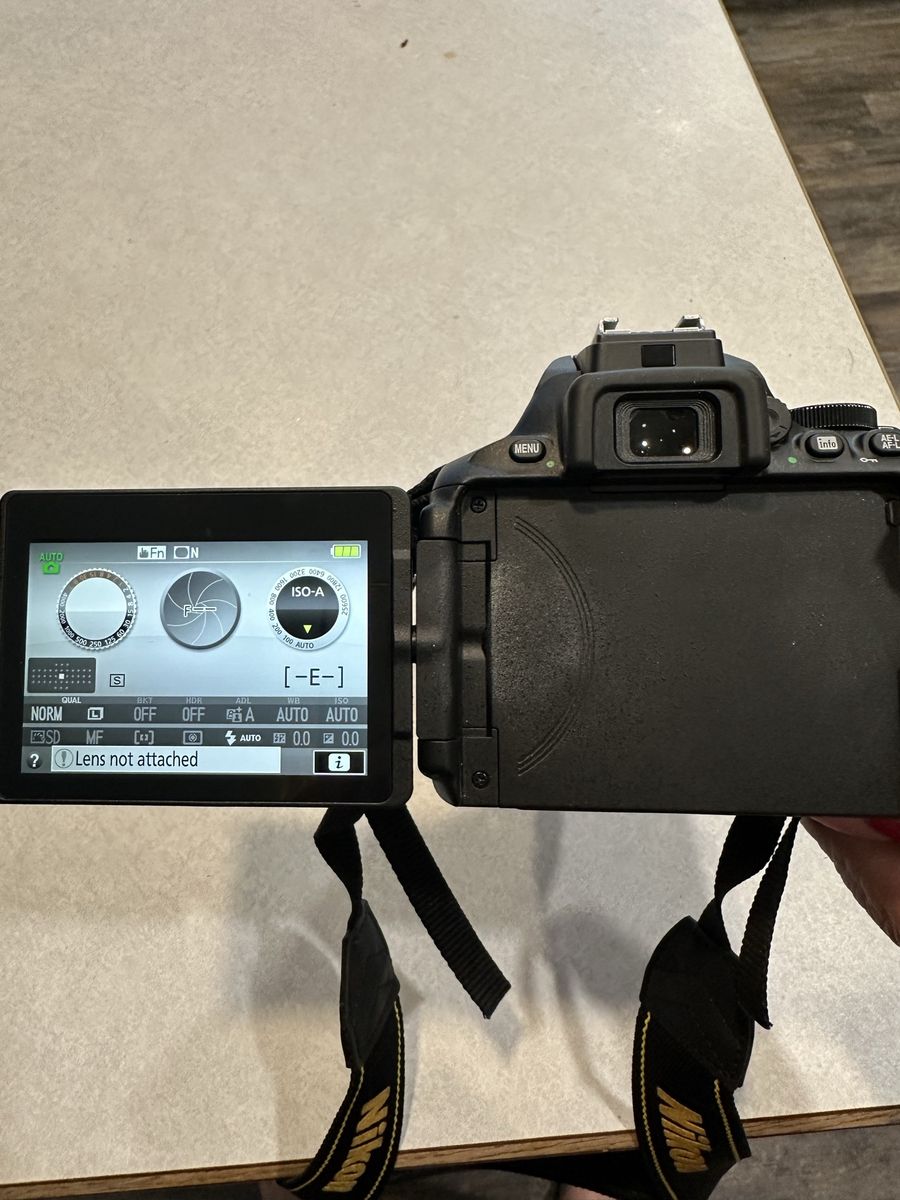 Nikon D5500 DSLR Camera with AF-S DX NIKKOR 55-200mm Lens, Battery, Charger, and Bag