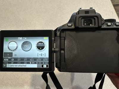 Nikon D5500 DSLR Camera with AF-S DX NIKKOR 55-200mm Lens, Battery, Charger, and Bag
