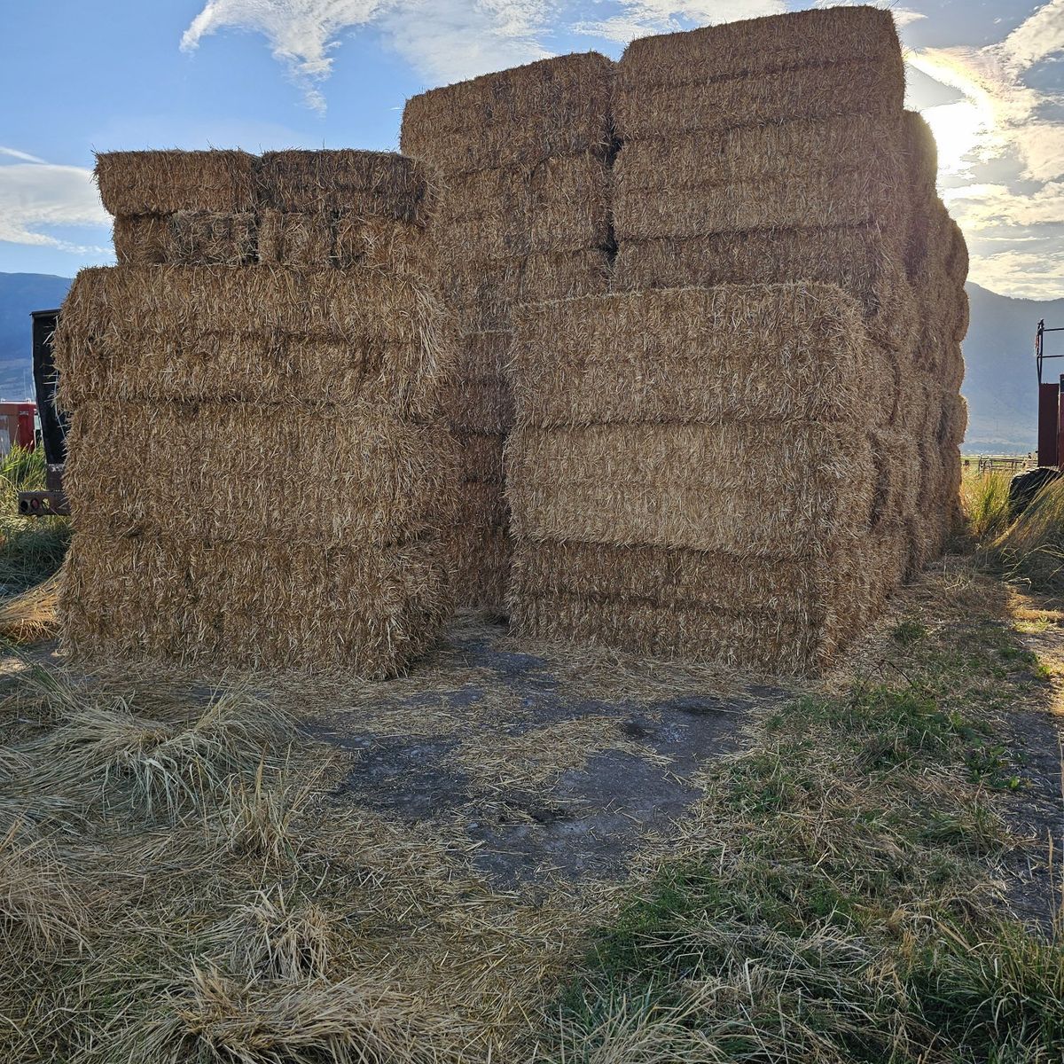 3x4 wheat straw