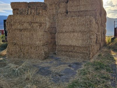 3x4 wheat straw