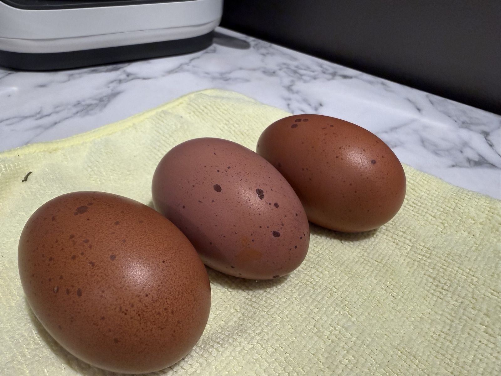 Colorful Egg Basket Chicks