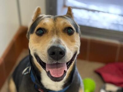 Hello my name is Dana