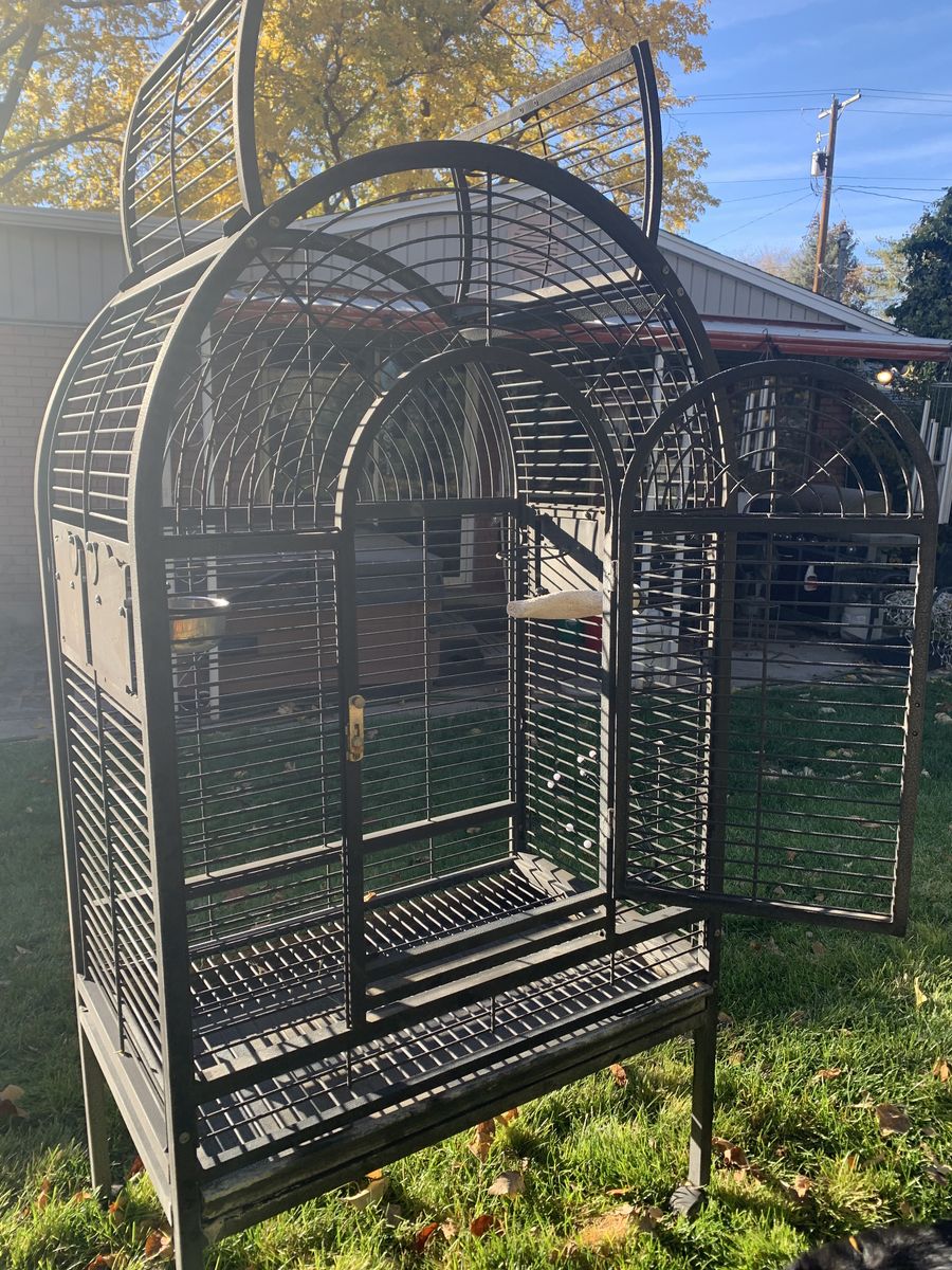 Large parrot cage