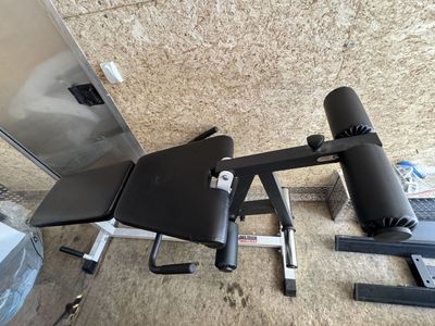 Deltech leg extension/curls