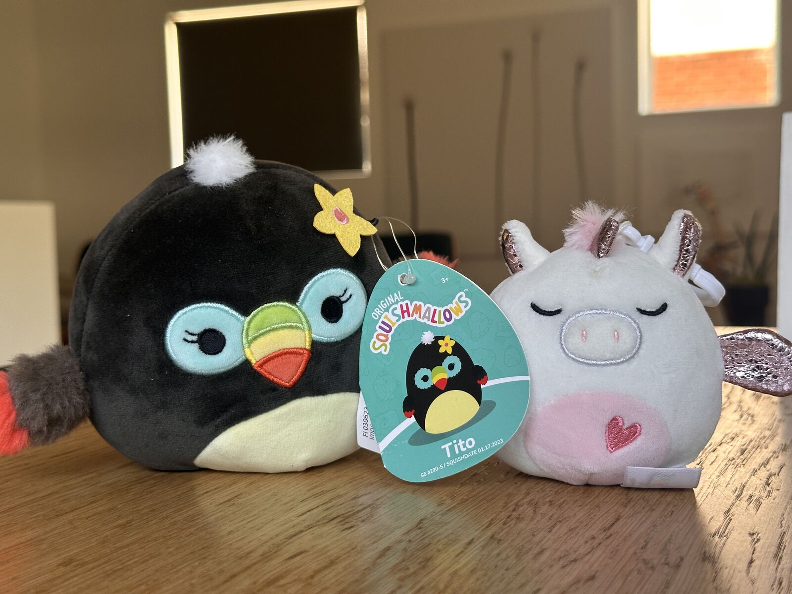 2 new Squishmallows.