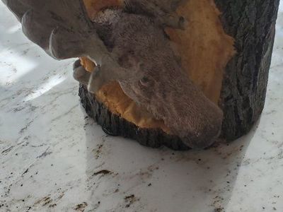 Rustic Moose Head Log Candle Holder - Decorative Home Decor