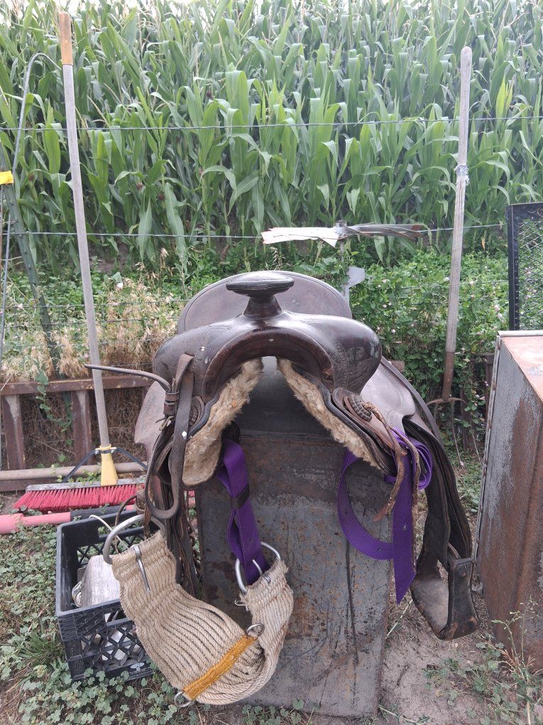 15-16in roping saddle