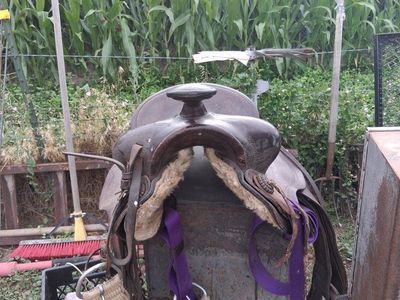 15-16in roping saddle