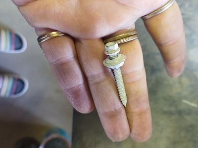 1.5" Woodscrews white sentri