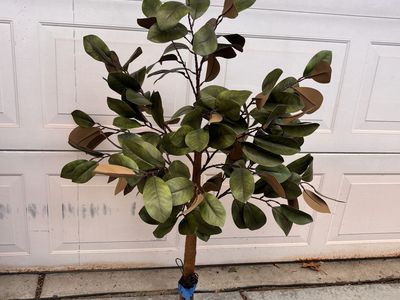 Artificial Lighted Magnolia Tree with Green Leaves