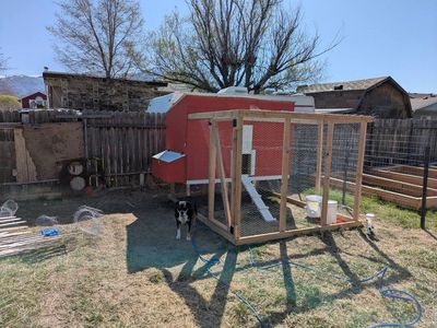 Custom-Built Chicken Coop with Enclosed Run - Perfect for Backyard Chickens