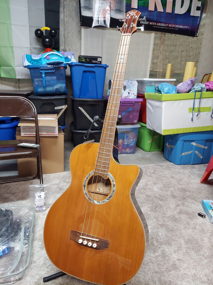 Michael Kelly Acoustic Electric Bass