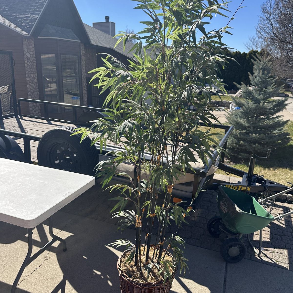 Tall Decorative Bamboo Plant w/ Basket Planter