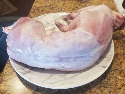 Rabbit meat