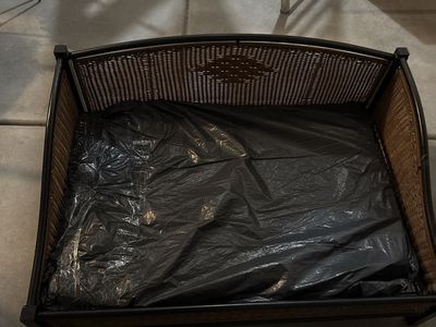 Elevated Wicker Pet Bed with Metal Frame and Cushioned Interior